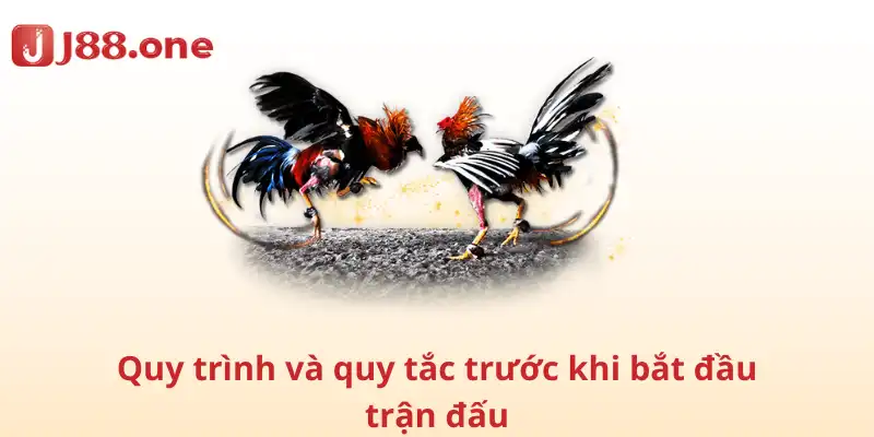 Quy trình và quy tắc trước khi bắt đầu trận đấu